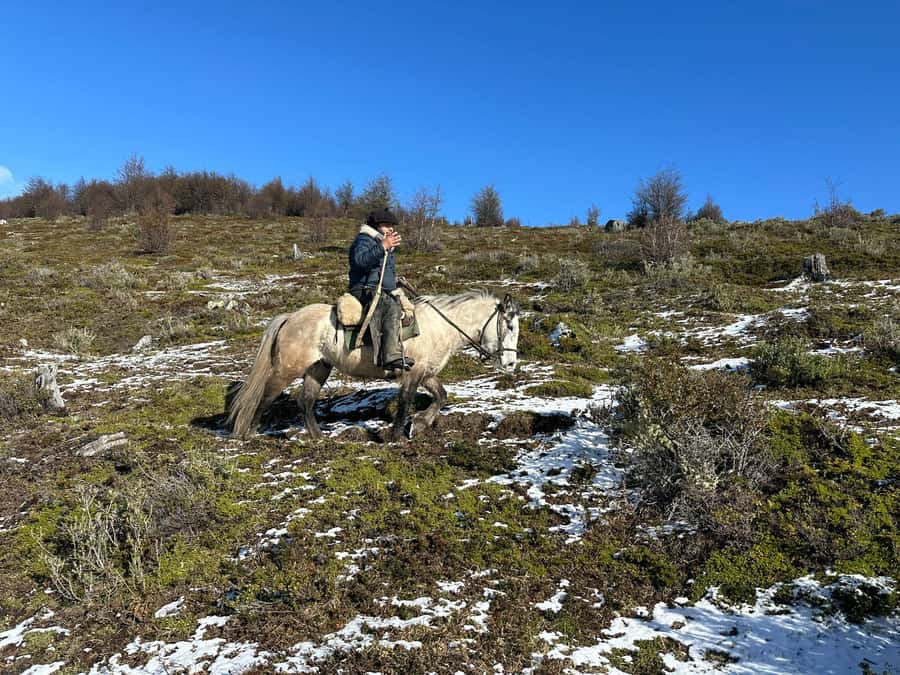 Puerto Natales: Horseback Riding to Dorotea Fjord Lookout - Key things that make this ride worth your time