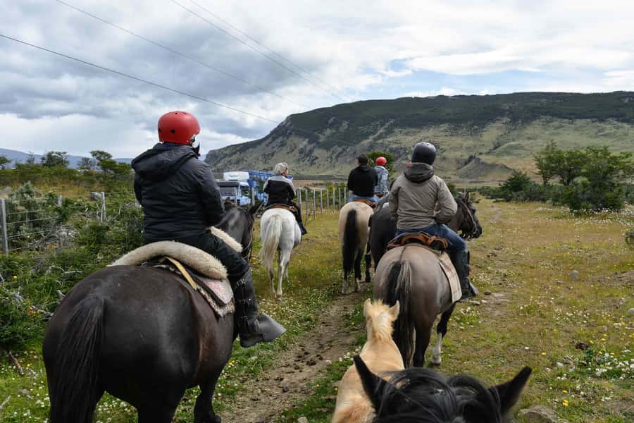 Puerto Natales: Horseback Riding to Dorotea Fjord Lookout - Pickup, safety briefing, and the Spanish-only guide reality