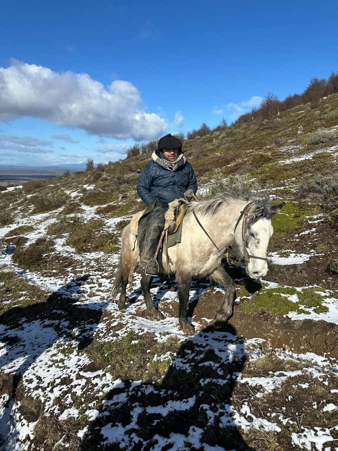 Puerto Natales: Horseback Riding to Dorotea Fjord Lookout - The ride itself: native forests, meadows, and border country