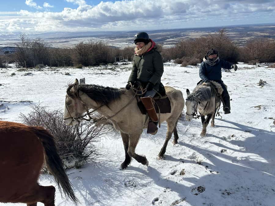 Puerto Natales: Horseback Riding to Dorotea Fjord Lookout - Timing and group size: a 4-hour plan that stays manageable