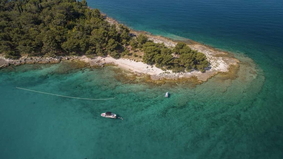 Rovinj: Lim Fjord & Rovinj islands Speedboat Tour - Figarola island: shade, local feel, and a good swim stop