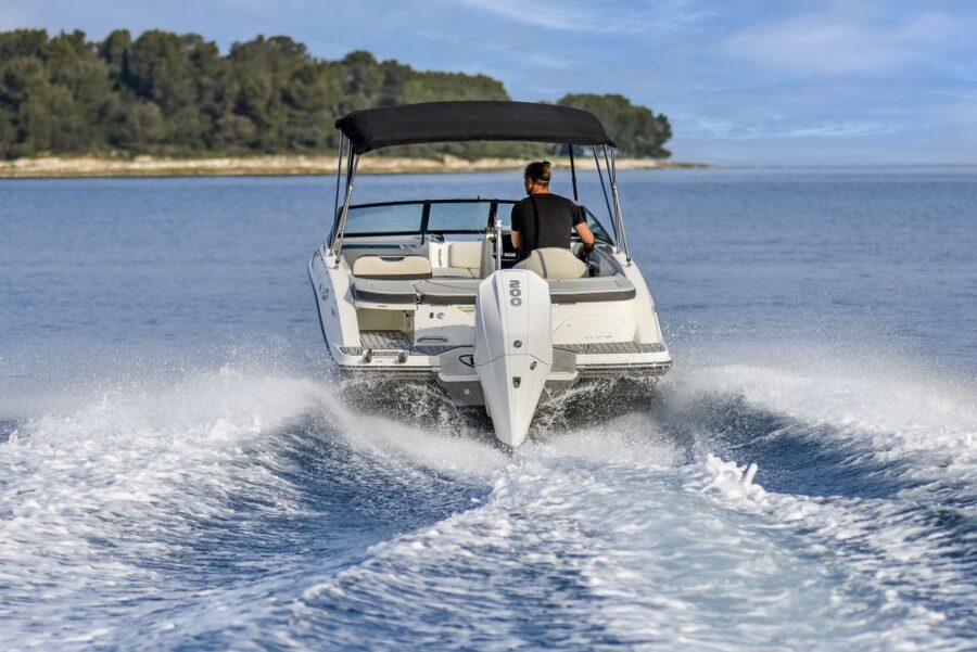 Rovinj or Vrsar: Lim Fjord & Rovinj islands Speedboat Tour - Dolphins: your best odds if you go early