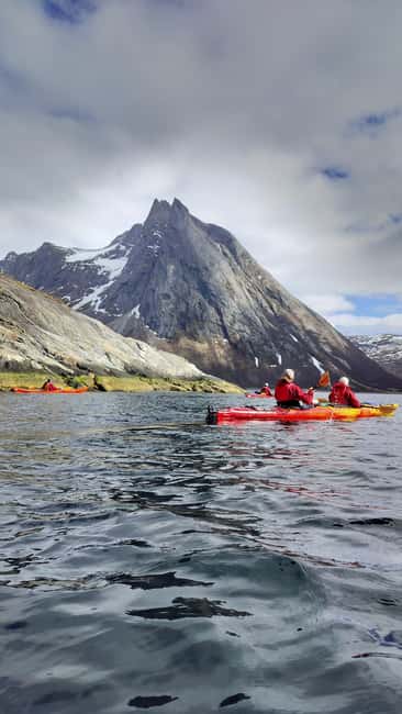 Senja: Guidet Fjord Kayaking in Ånderdalen Nationalpark - Key Details That Set This Trip Apart
