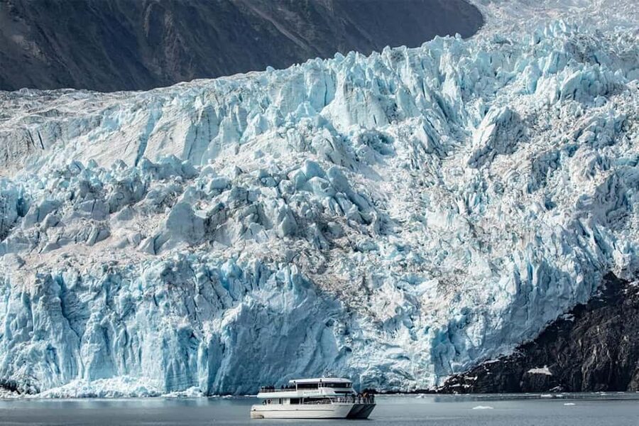 Seward: Captain's Choice Kenai Fjords National Park Tour - Alaska Maritime Wildlife Refuge: where the seabirds steal the show