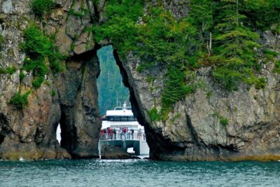 Seward: Captain's Choice Kenai Fjords National Park Tour - From Seward Harbor to Resurrection Bay: settling in for wildlife