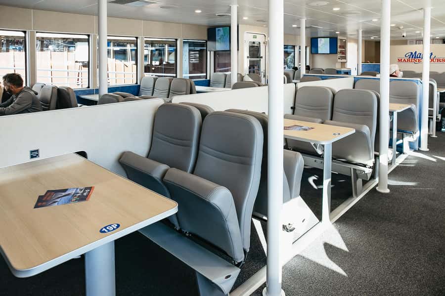 Seward: Kenai Fjords National Park Catamaran Cruise w/Lunch - Who this cruise is best for (and who should consider alternatives)