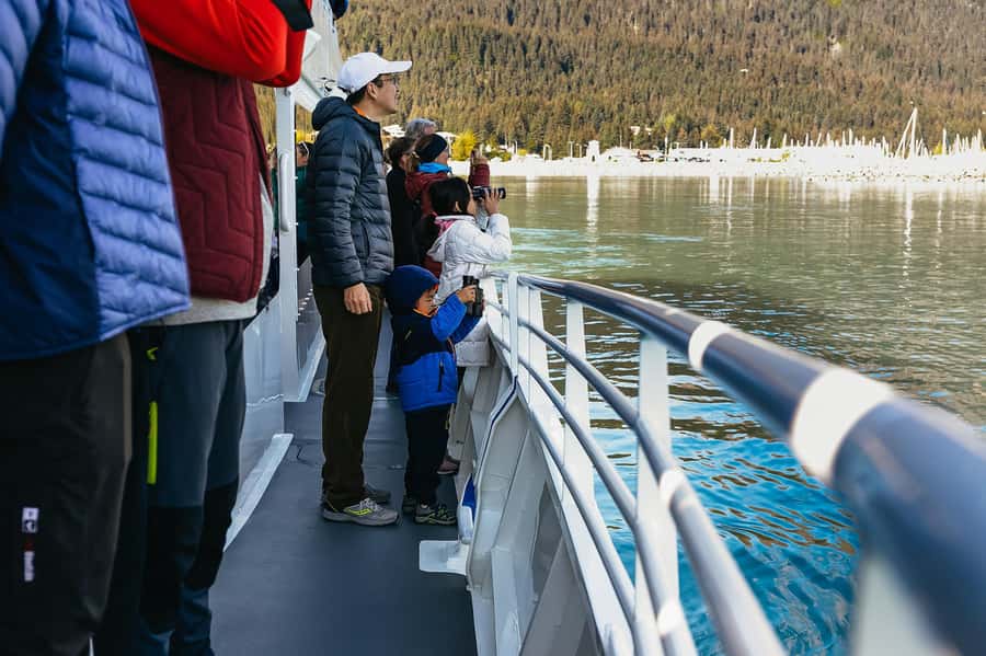 Seward: Kenai Fjords National Park Catamaran Cruise w/Lunch - Price and value: why $265 for 6 hours can make sense