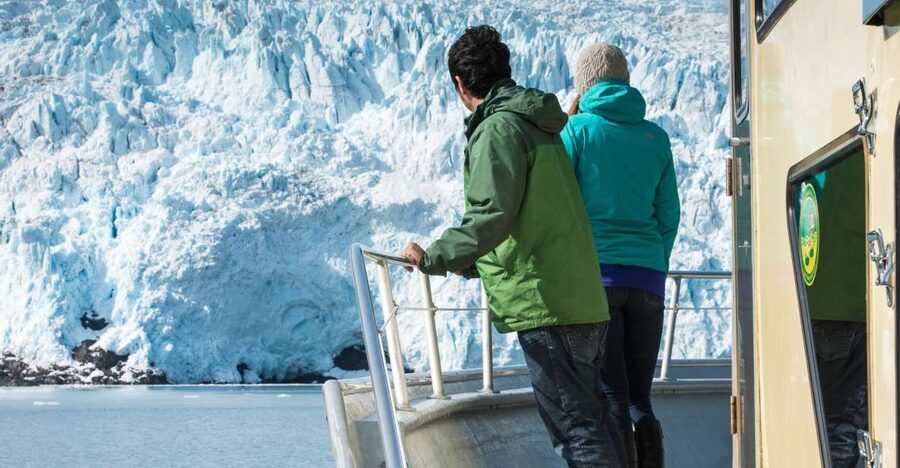 Seward: Kenai Fjords National Park Extended Cruise - Check-In at Harbor 360: Simple Start, Real Time on Water