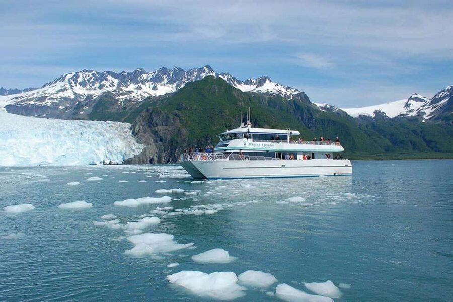 Seward: Kenai Fjords National Park Glacier & Wildlife Cruise - The seabird rookeries at the Alaska Maritime National Wildlife Refuge