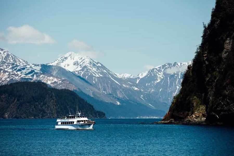 Seward: Kenai Fjords National Park Glacier & Wildlife Cruise - Your boat matters: heated cabin, big windows, and outdoor deck time