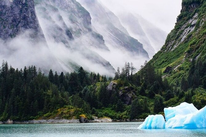 Tracy Arm Fjord and Glacier Explorer from Juneau - Tracy Arm Fjord from Juneau: the value is in the access