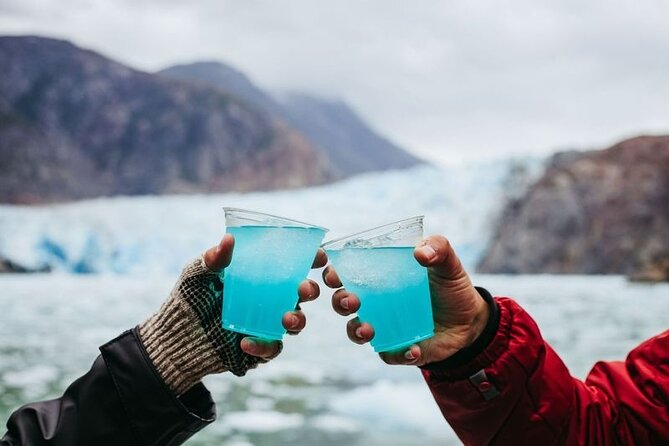 Tracy Arm Fjord and Glacier Explorer from Juneau - North Sawyer Glacier and the art of the detour
