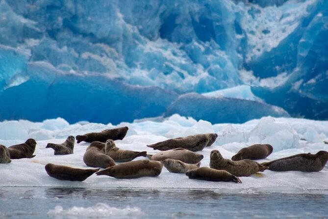 Tracy Arm Fjord and Glacier Explorer from Juneau - Food and warmth: the overlooked comfort factor
