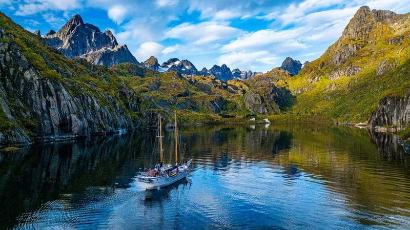 Tromsø: Luxury Summer Fjord Cruise with Lunch & Hot Tub - Wildlife spotting: how to get better at it (without getting nerdy)