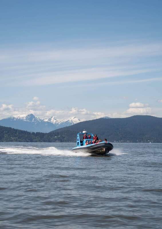 Vancouver: Boat to Bowen Island on UNESCO Howe Sound Fjord - Up-close seal colonies: what you can realistically expect